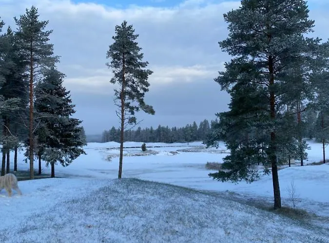 Nordcenter Apartman Raseborg